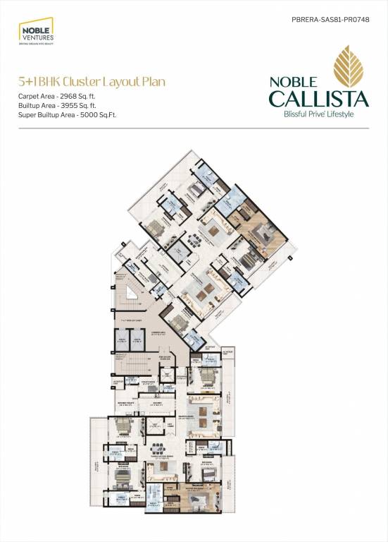 callista Cluster Plan