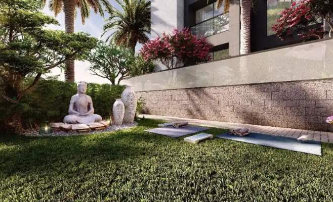  miraki akurdi Others