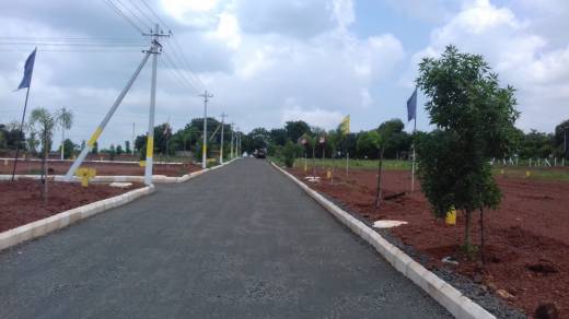 serene-city Elevation Elevation