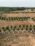 Plot  yadadri-meadows Plot