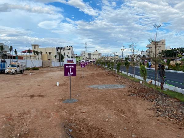 Plot manchester Plot