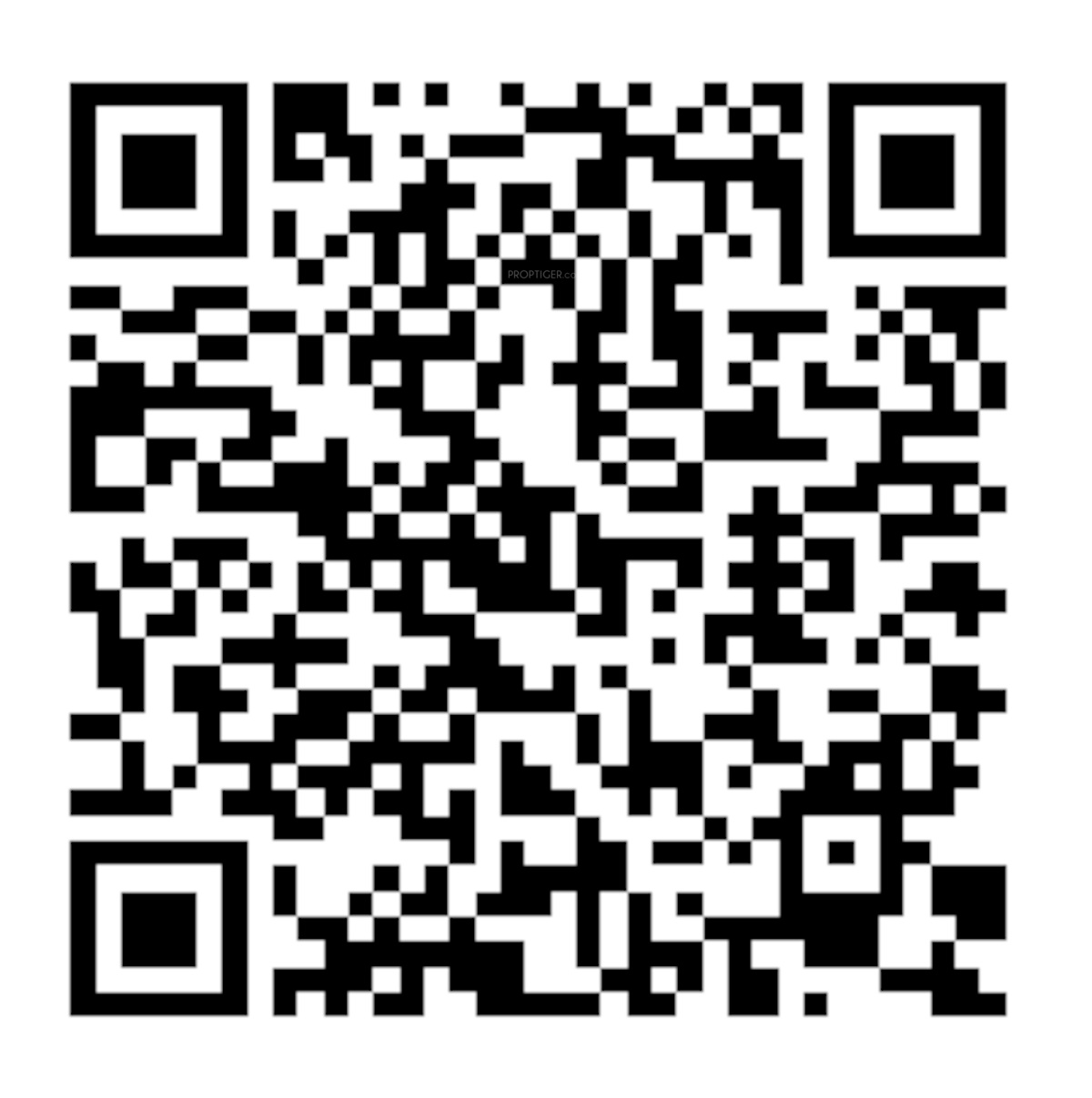 QR Image