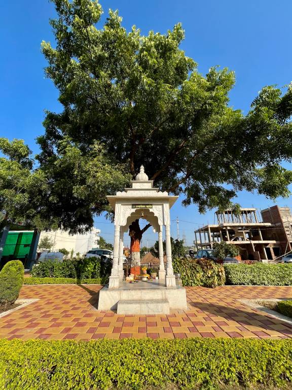  royal enclave 1 Plot