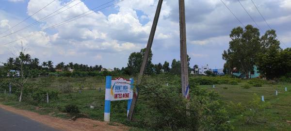 Elevation united-avenue Elevation