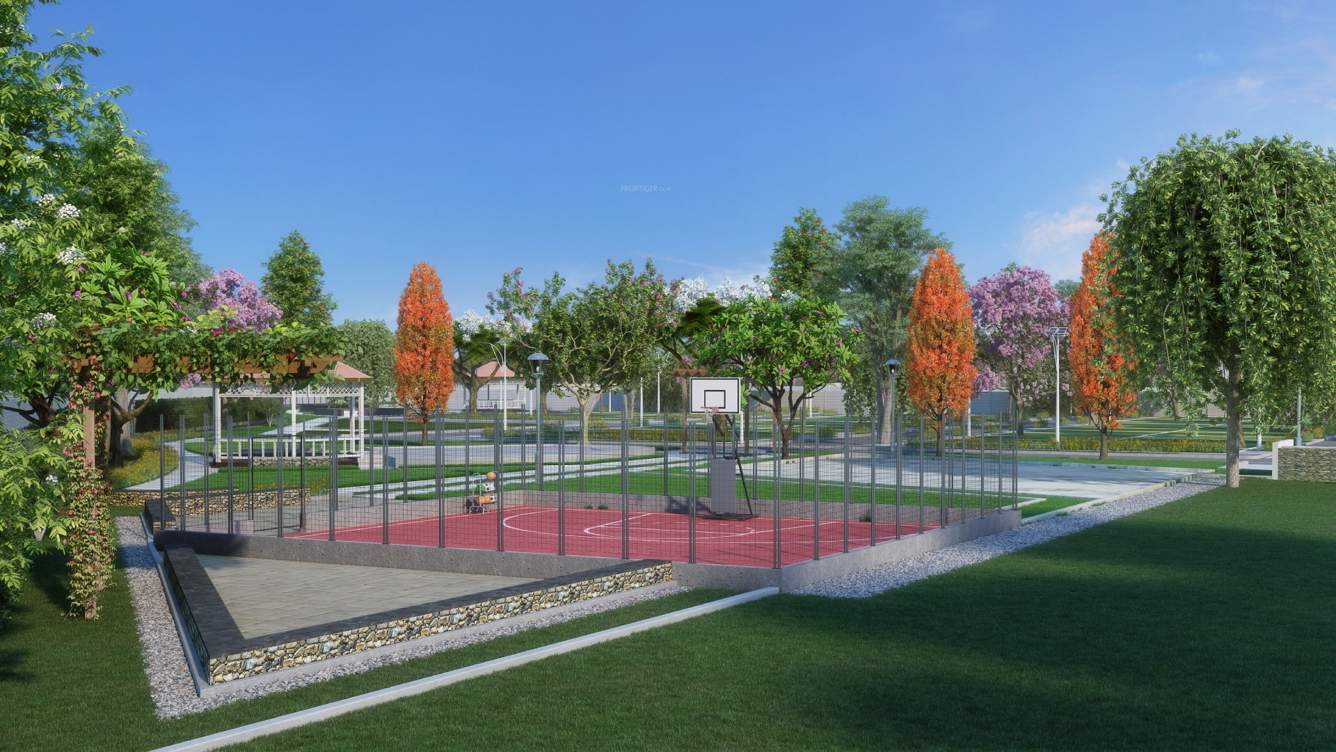  kaveri siri Basketball Court