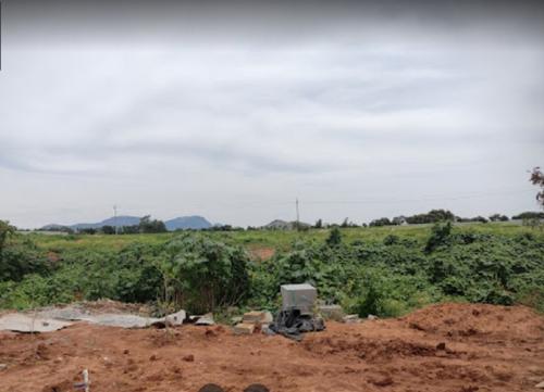  tivoli-hills-phase-1 Landscape Garden and Tree Planting