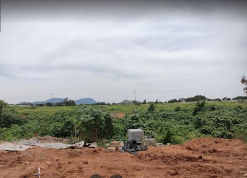  tivoli-hills-phase-5 Landscape Garden and Tree Planting