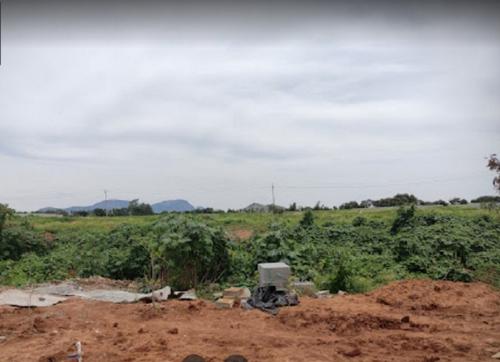  tivoli-hills-phase-3 Landscape Garden and Tree Planting