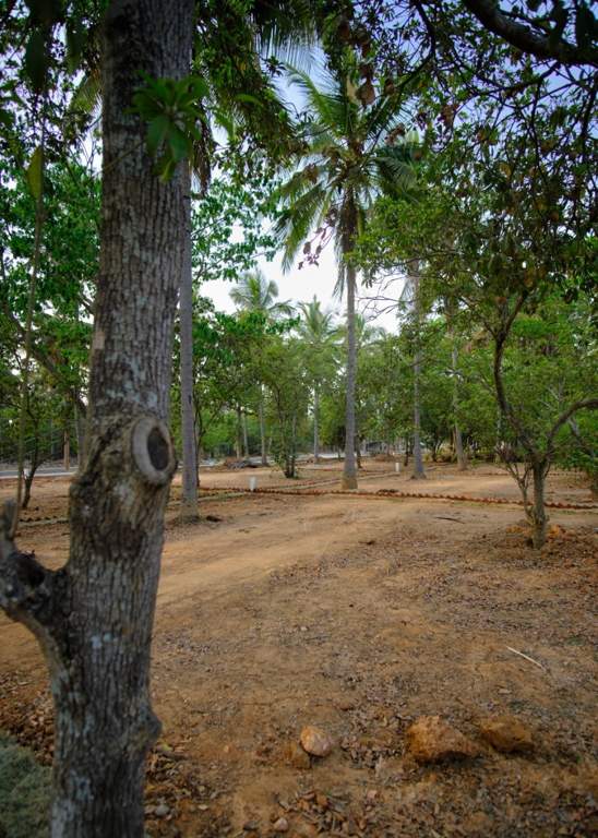  ranka palm lakeside Plot