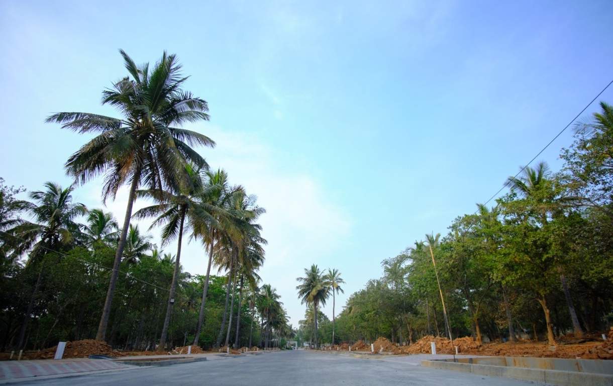  ranka palm lakeside Plot