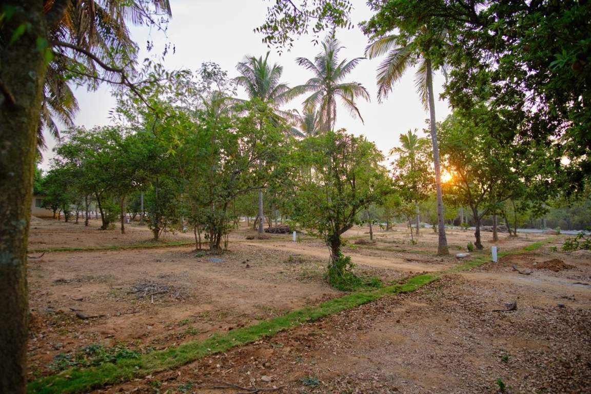  ranka palm lakeside Plot