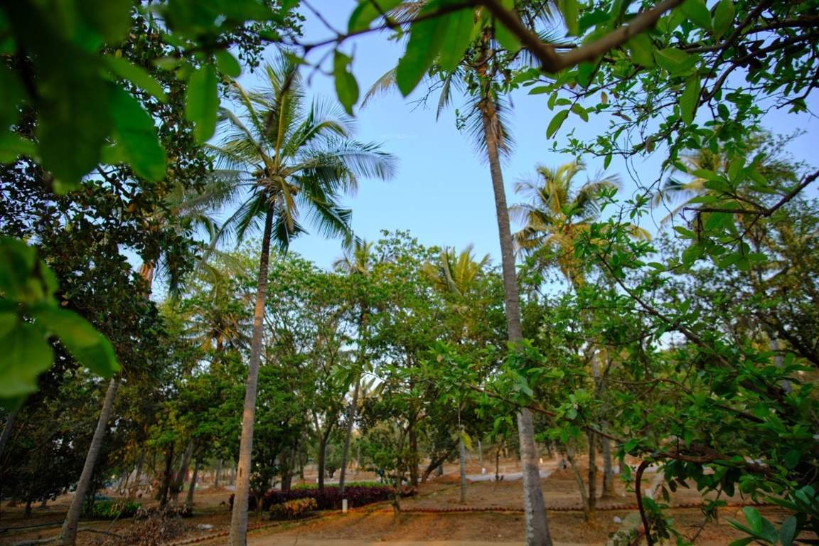  ranka palm lakeside Plot