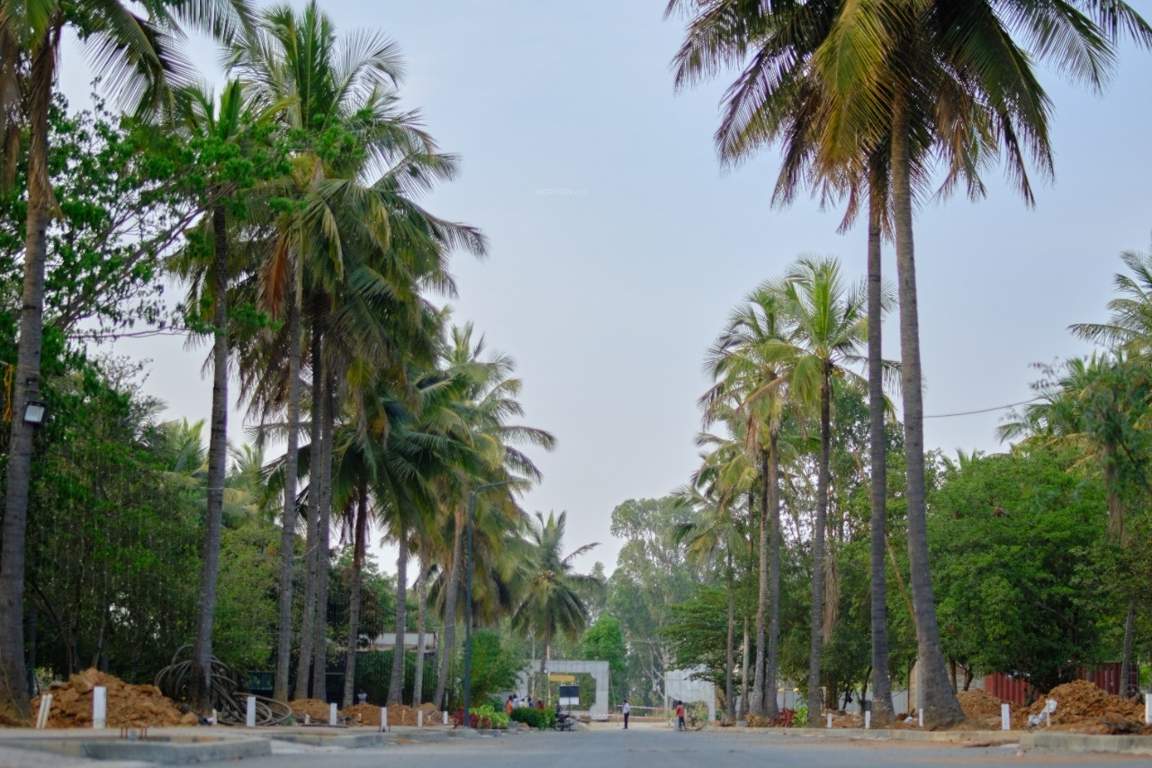  ranka palm lakeside Plot