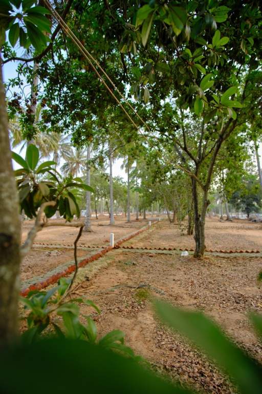  ranka palm lakeside Plot