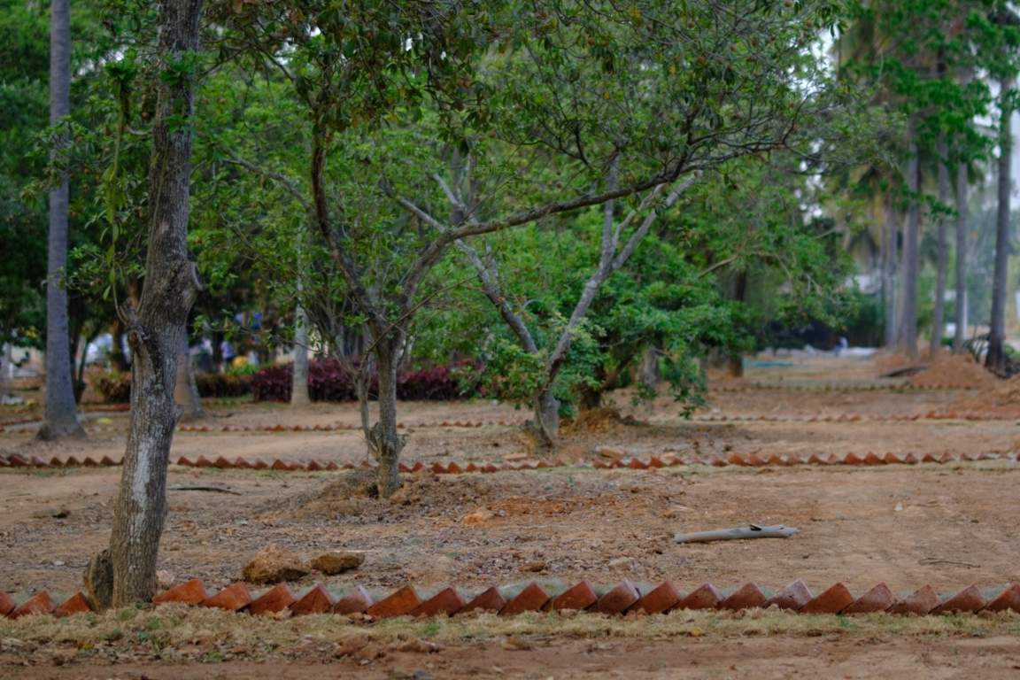  ranka palm lakeside Plot