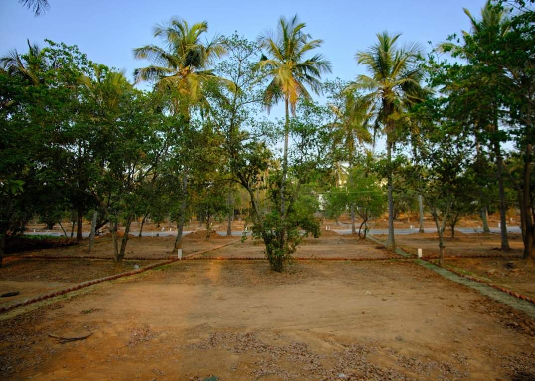  ranka palm lakeside Plot