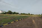  thillai-nagar Plot