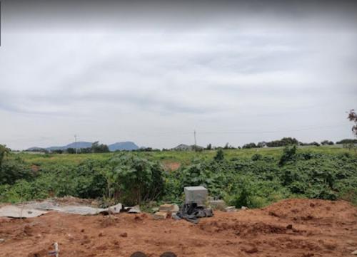  tivoli-hills-phase-4 Landscape Garden and Tree Planting