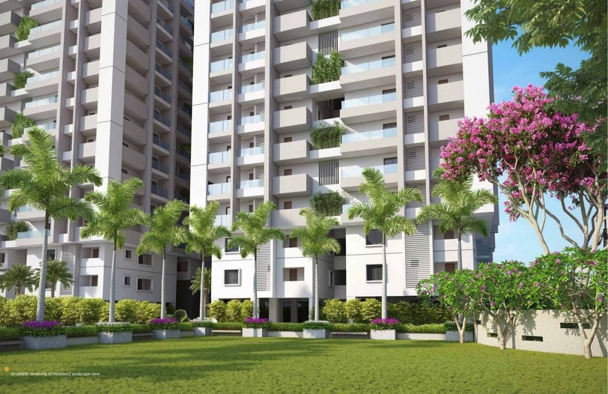  my space 2 Landscape Garden and Tree Planting