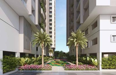  my-space-2 Landscape Garden and Tree Planting