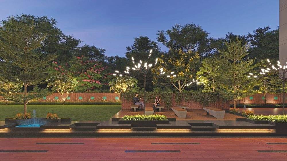  turquoise grandeure Landscape Garden and Tree Planting