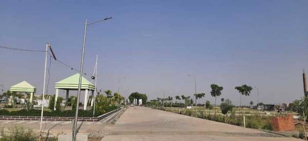  gold-estate Elevation