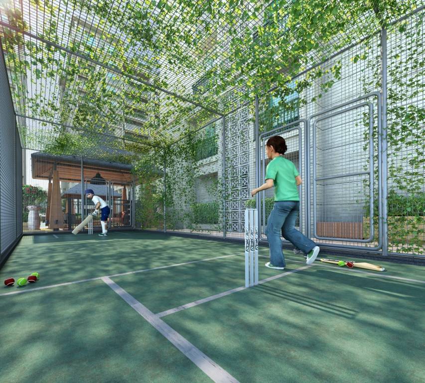  regius Cricket Pitch