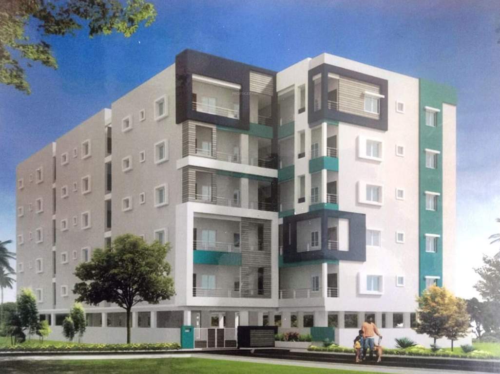  s v heights Elevation