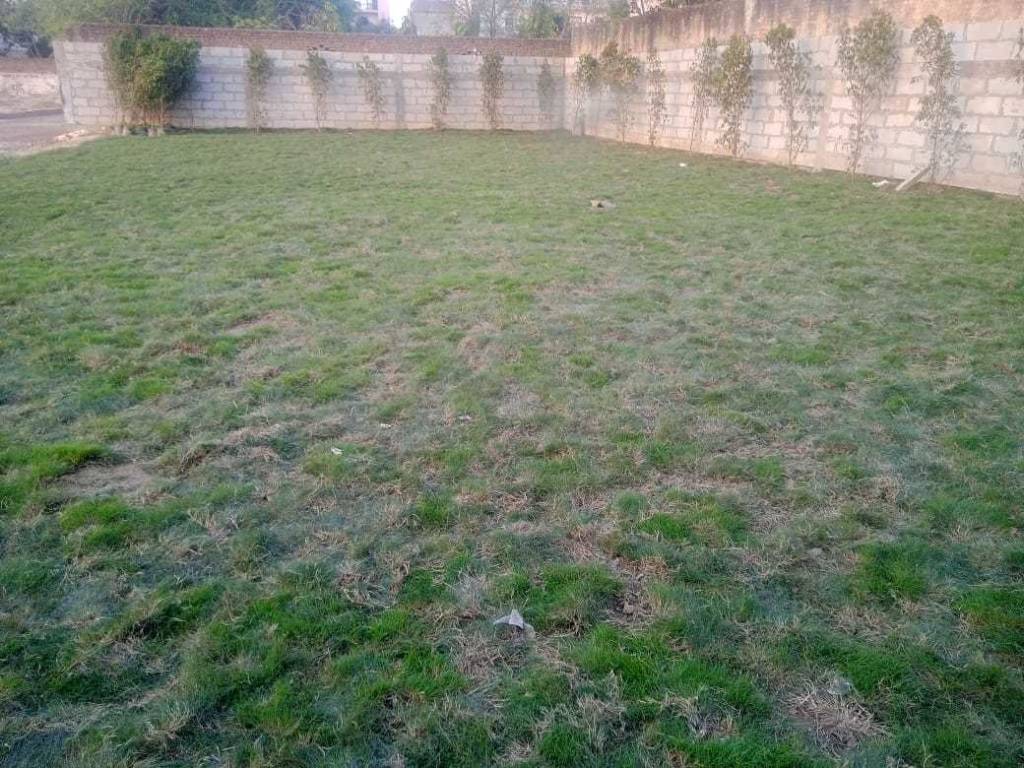 panchsheel park plots Plot