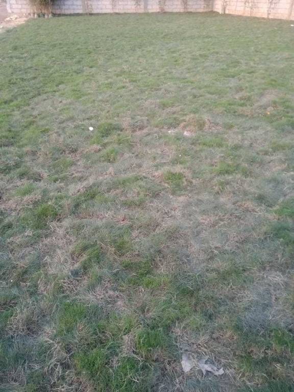 panchsheel park plots Plot