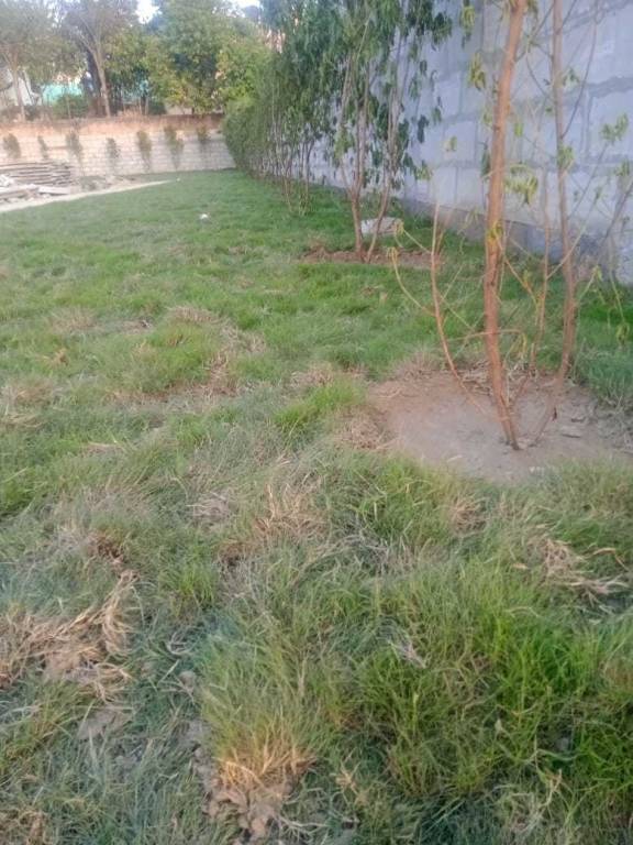 panchsheel park plots Plot