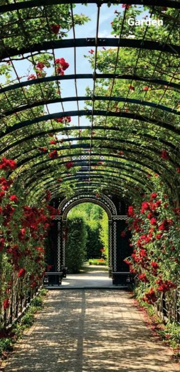  vihar ii Flower Garden