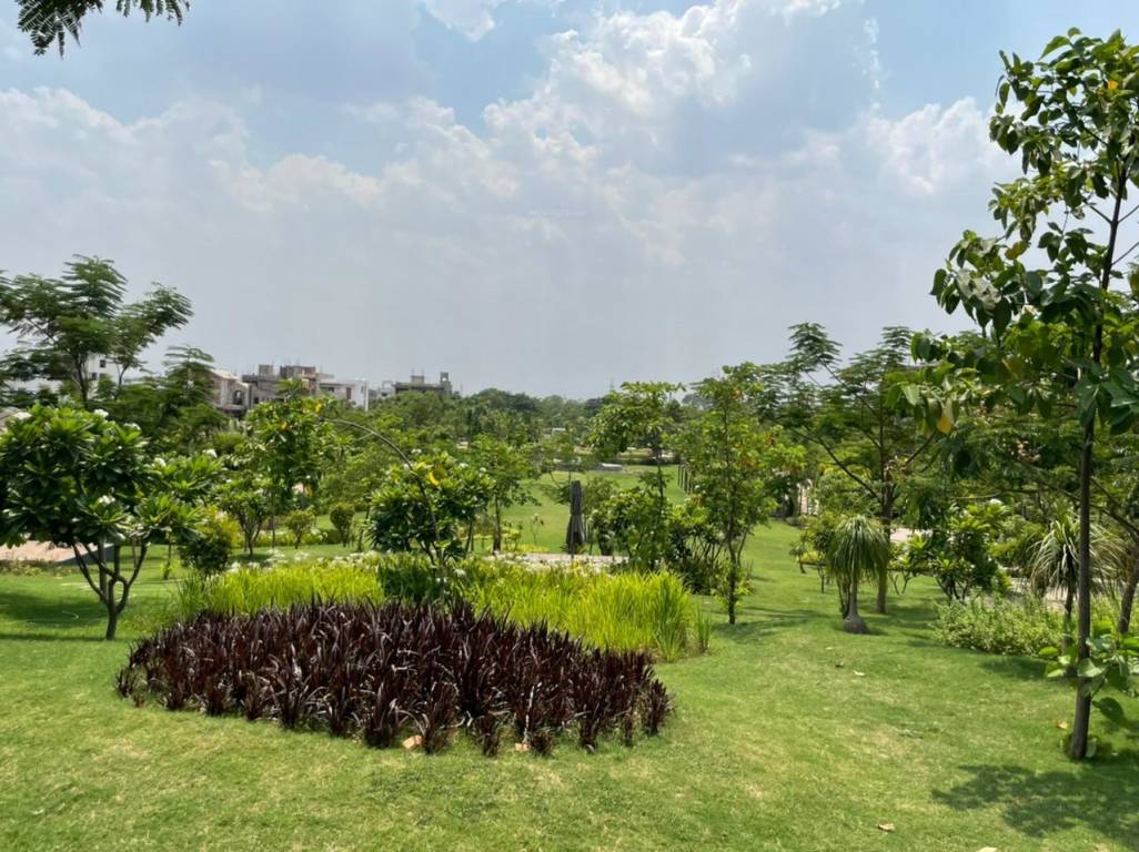 mauli nagar 09 sector a Plot