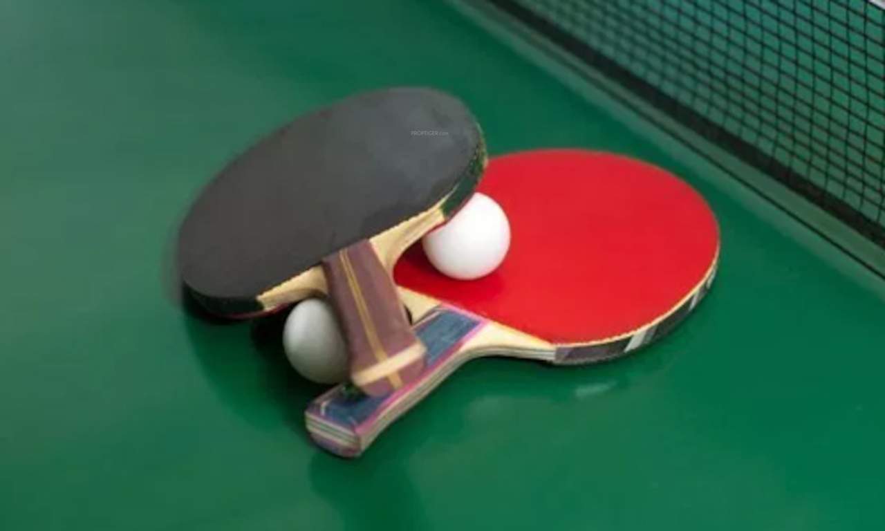  star prestige building no 2 Table Tennis