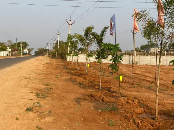  sv-golden-city-5 Plot