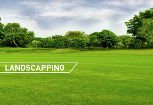  homes-104 Landscape Garden and Tree Planting