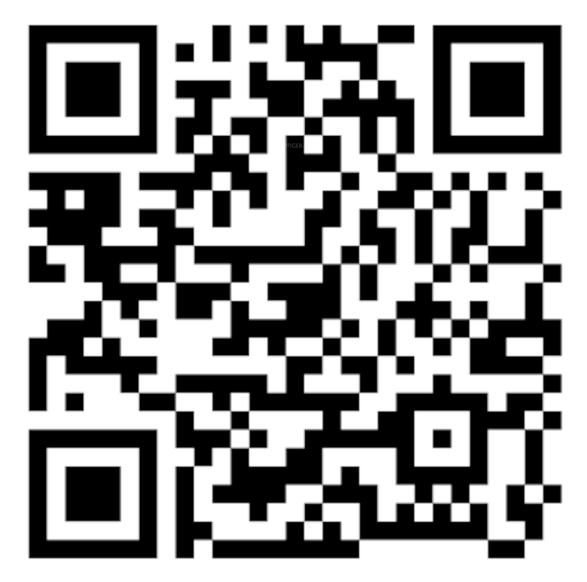 QR Image