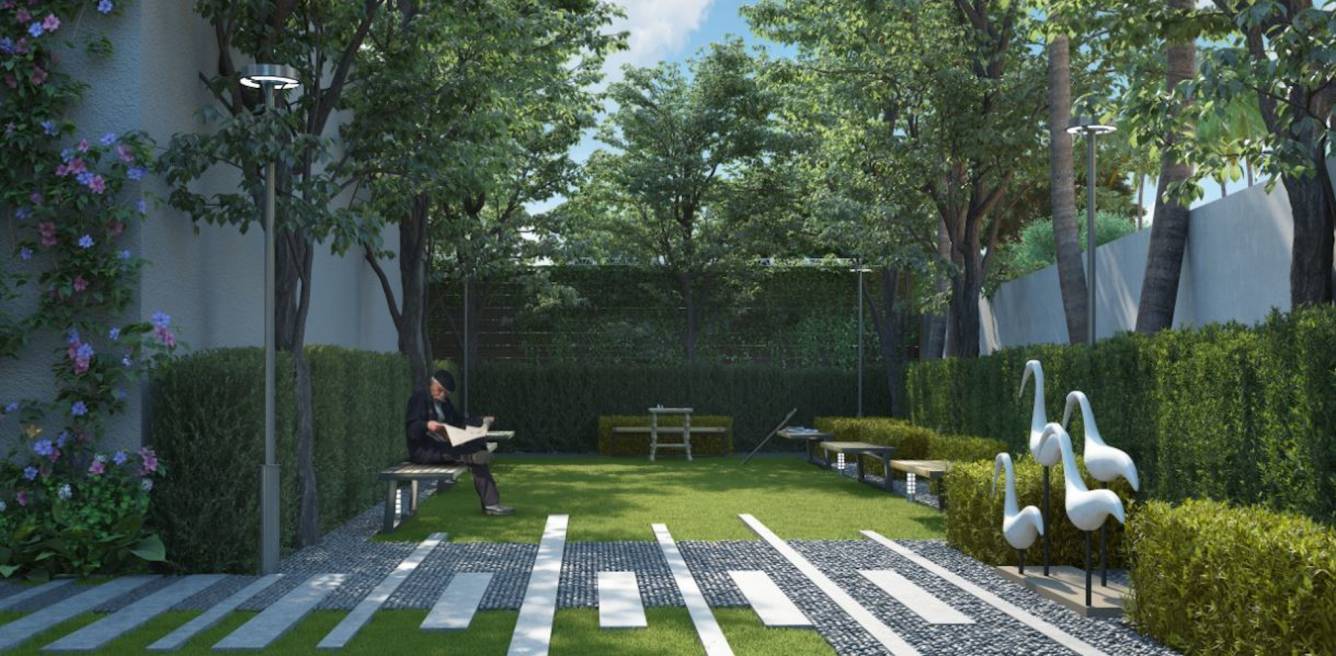  skygaze Senior Citizen Siteout