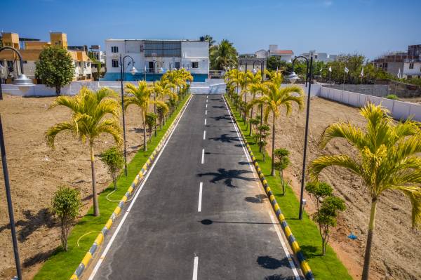 Elevation the-baywatch Elevation