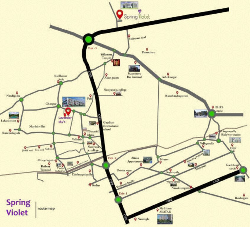  spring violet Location Plan