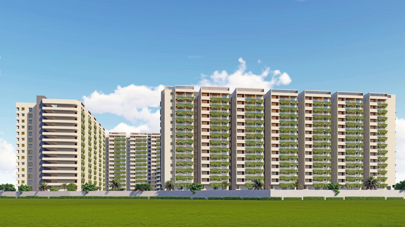  spring violet Elevation