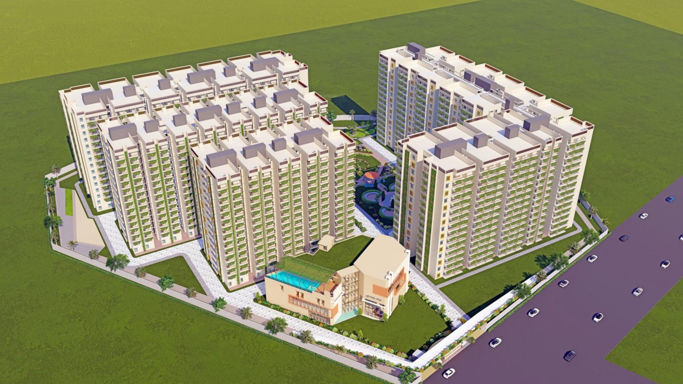  spring violet Elevation