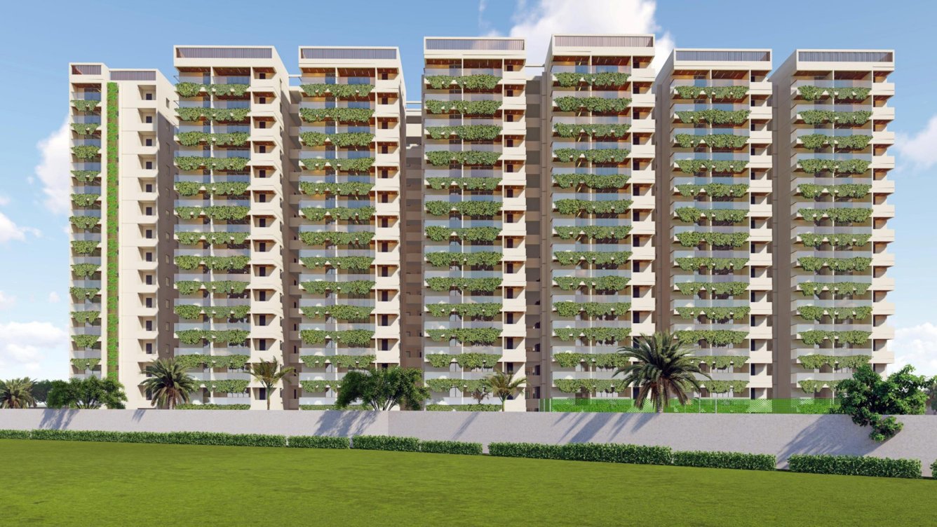  spring violet Elevation