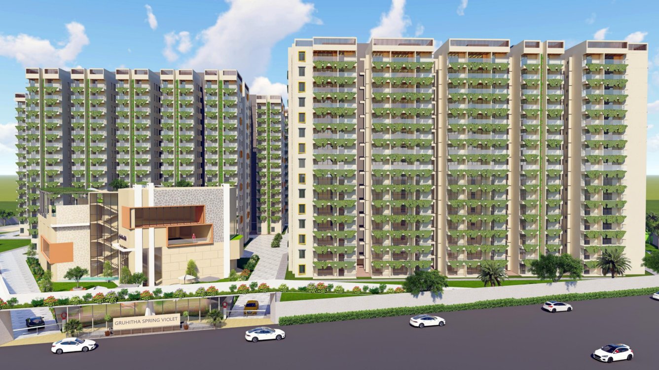  spring violet Elevation