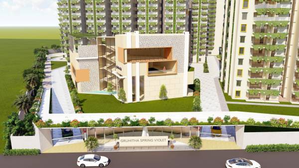  spring-violet Others