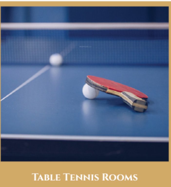  jewel crest Table Tennis