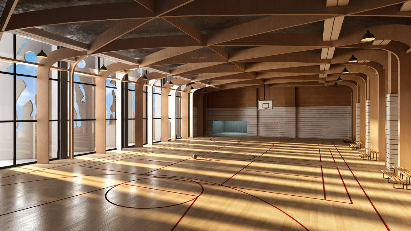  rise Basketball Court