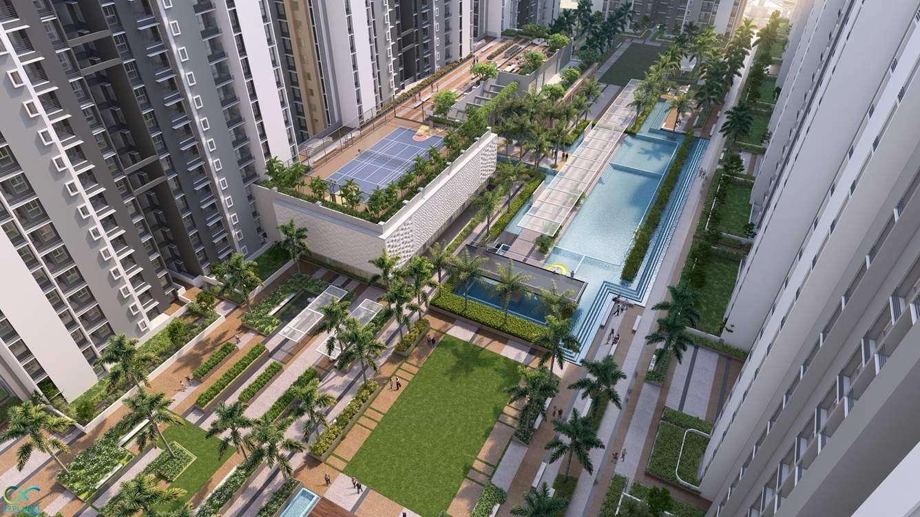  rise Landscape Garden and Tree Planting