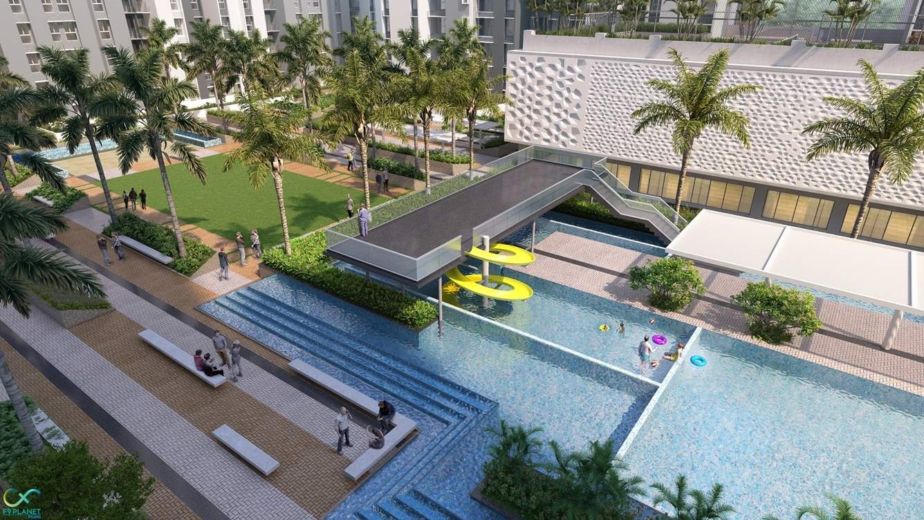  rise Landscape Garden and Tree Planting