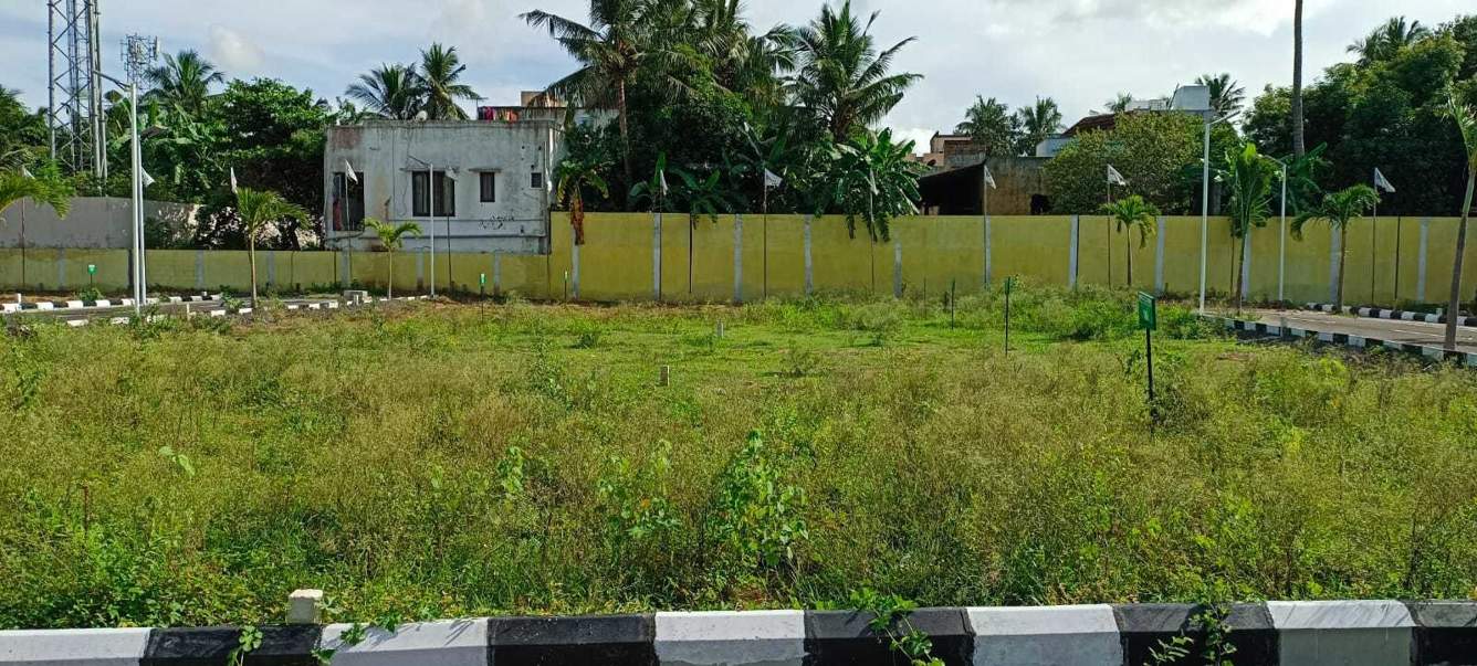 G Square Greenscape